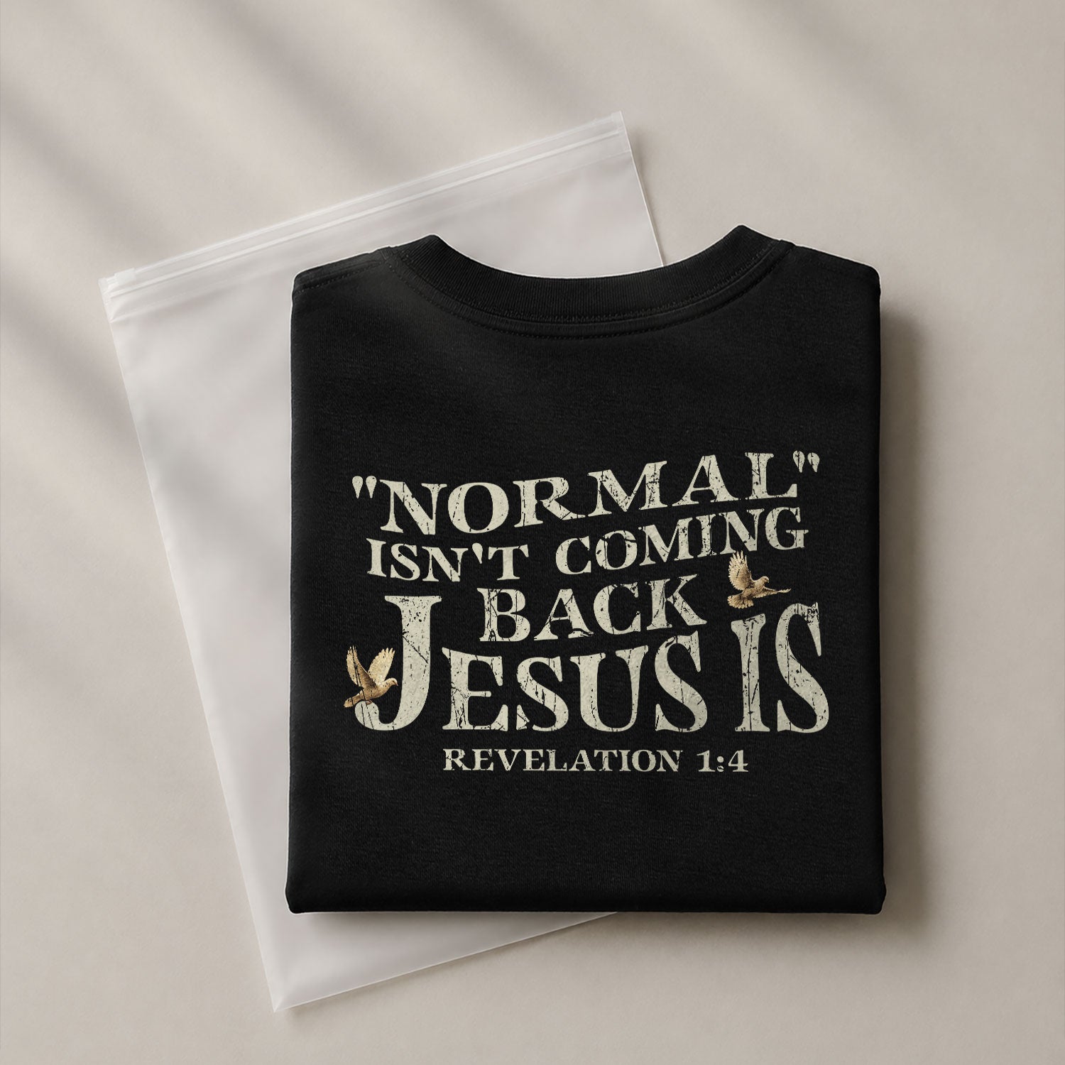 Christian Tee Shirts, Jesus Is Coming Back “Normal Isn’t Coming Back” Revelation 1:4 2 Sided - Christian Shirts for Men - Rust Field Wear
